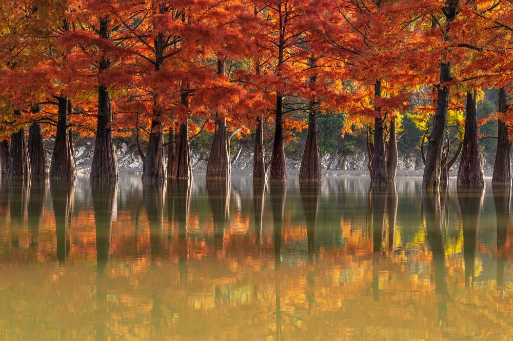 Photograph by Валерий Одинцов