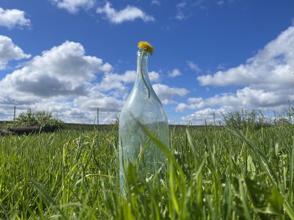 Photograph by Лыжин Григорий