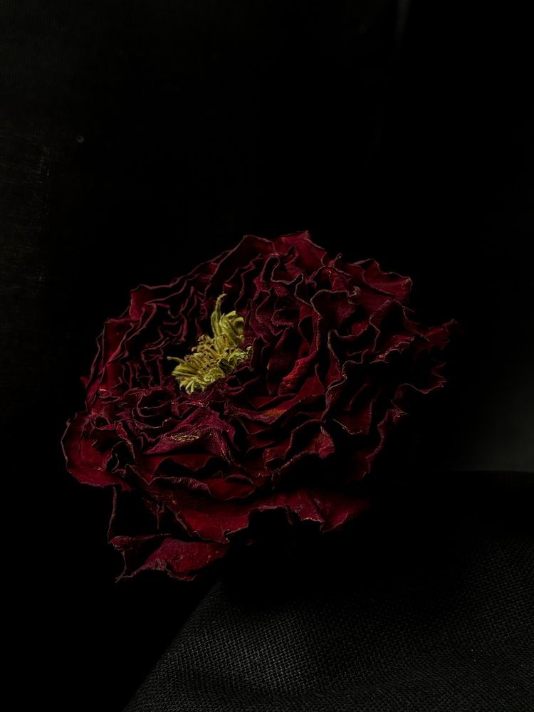 Photograph by Наталья Сергеевна