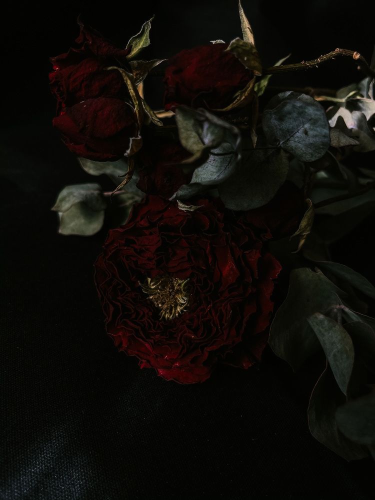 Photograph by Наталья Сергеевна