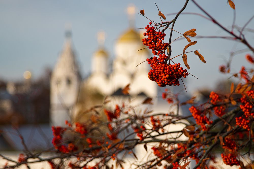 Photograph by Елена Овчинникова