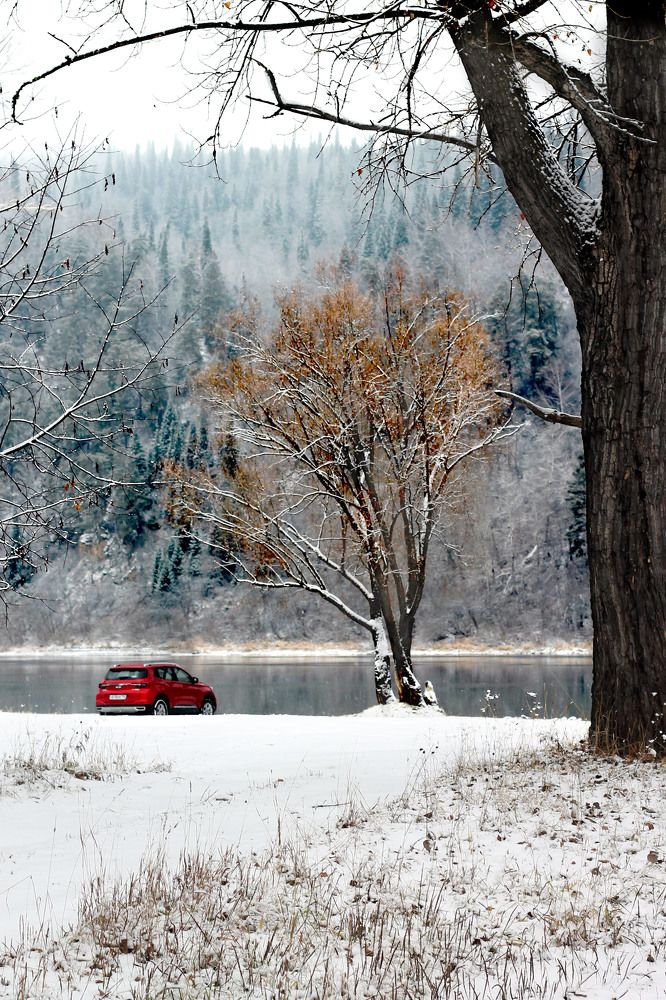 Фотография автора Любовь Харина