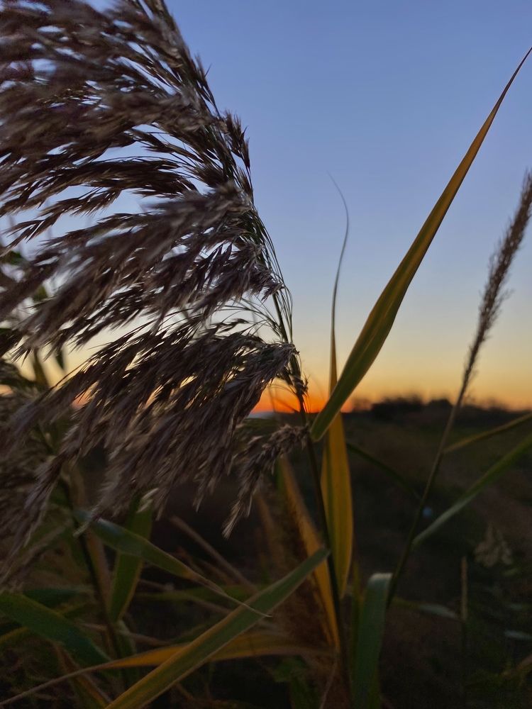 Photograph by Анна