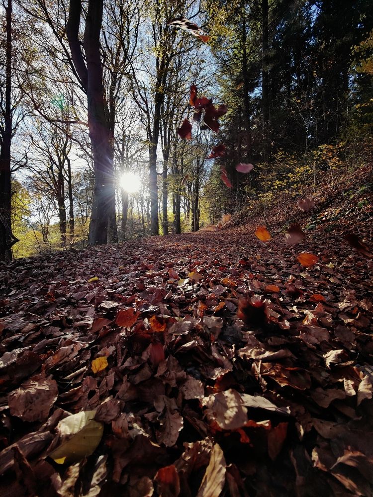 Фотография автора Laura Skwarek