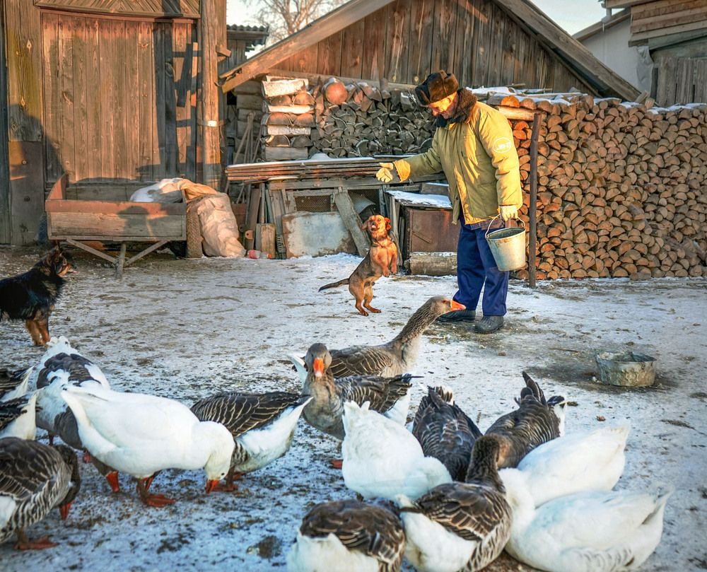 Photograph by Нина Будникова