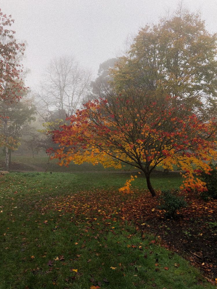 Photograph by Zinaida Sassarini