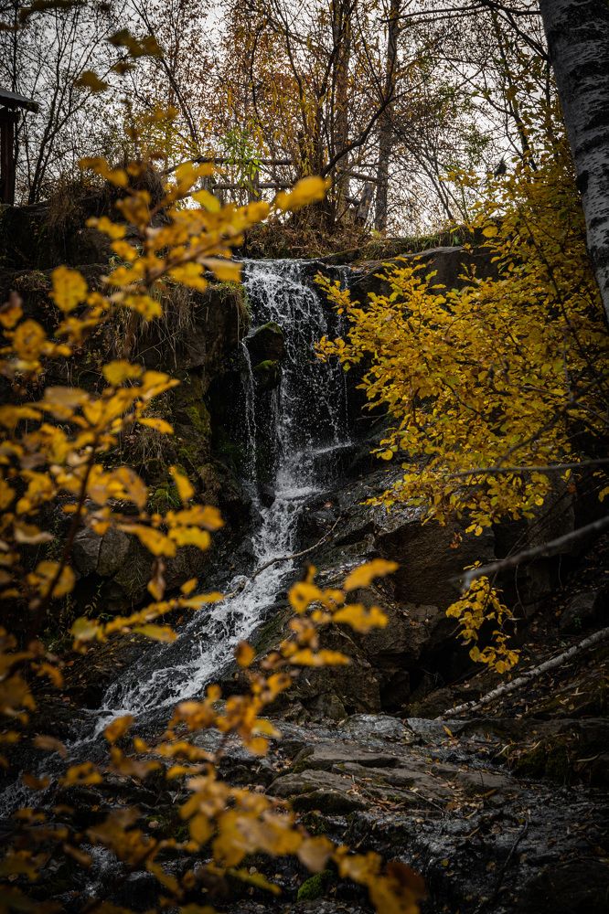 Photograph by Андрей Бобрюк