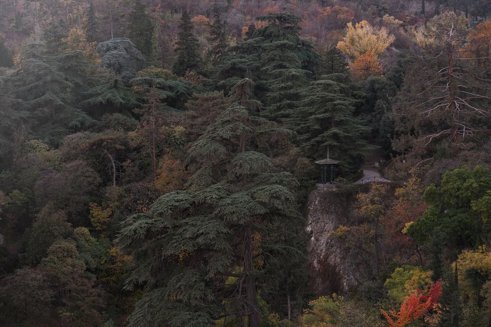 Photograph by Ксения Макарова