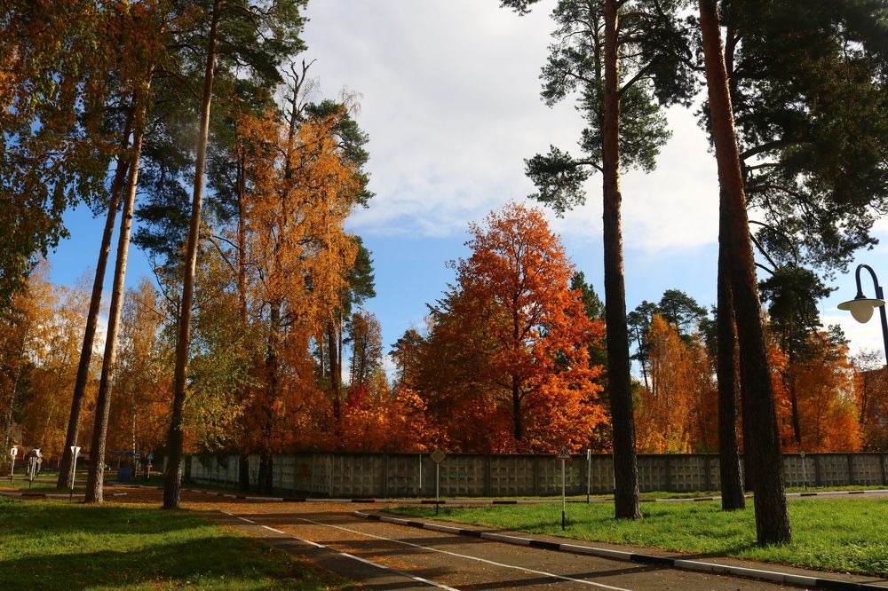 Photograph by Светлана Шуткова