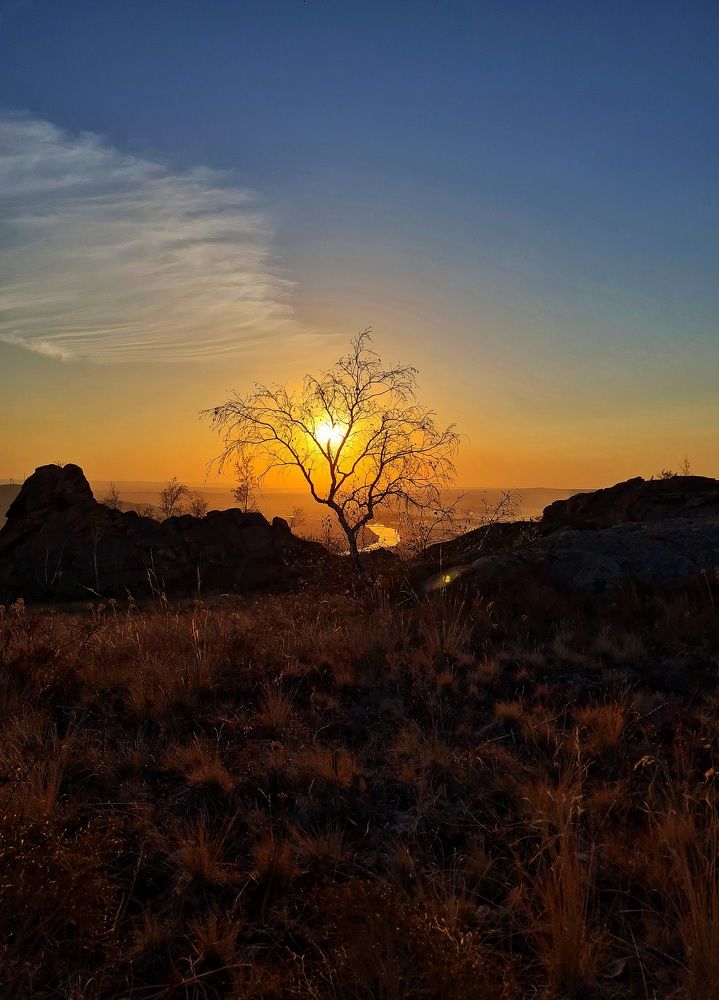 Photograph by Ольга Веселова