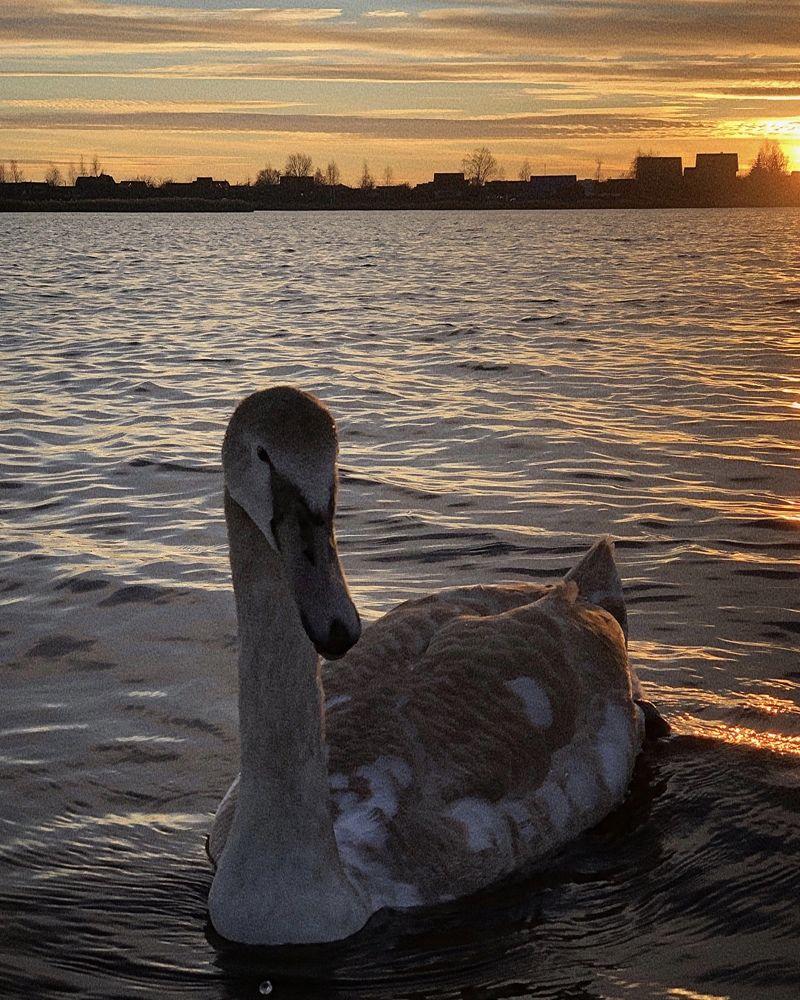 Photograph by Halina Mitsevich