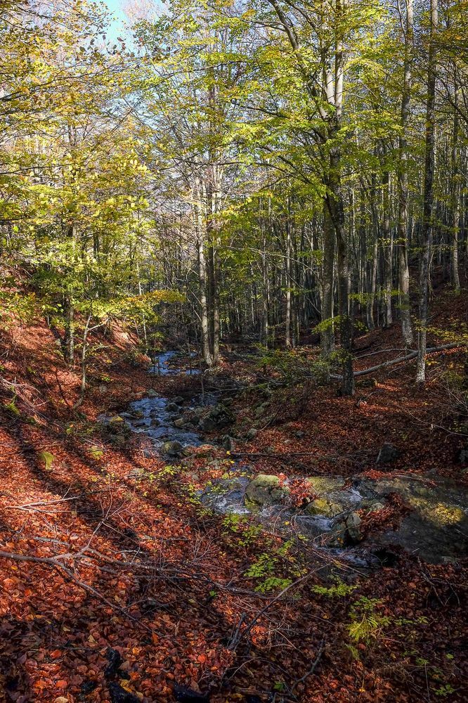 Photograph by Adriano Cascio