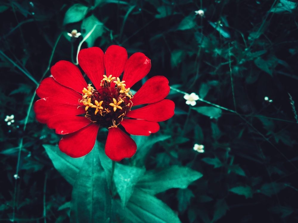 Photograph by Sash Jay