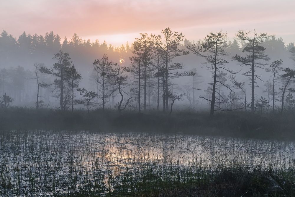 Photograph by Ярослав Лукьянов