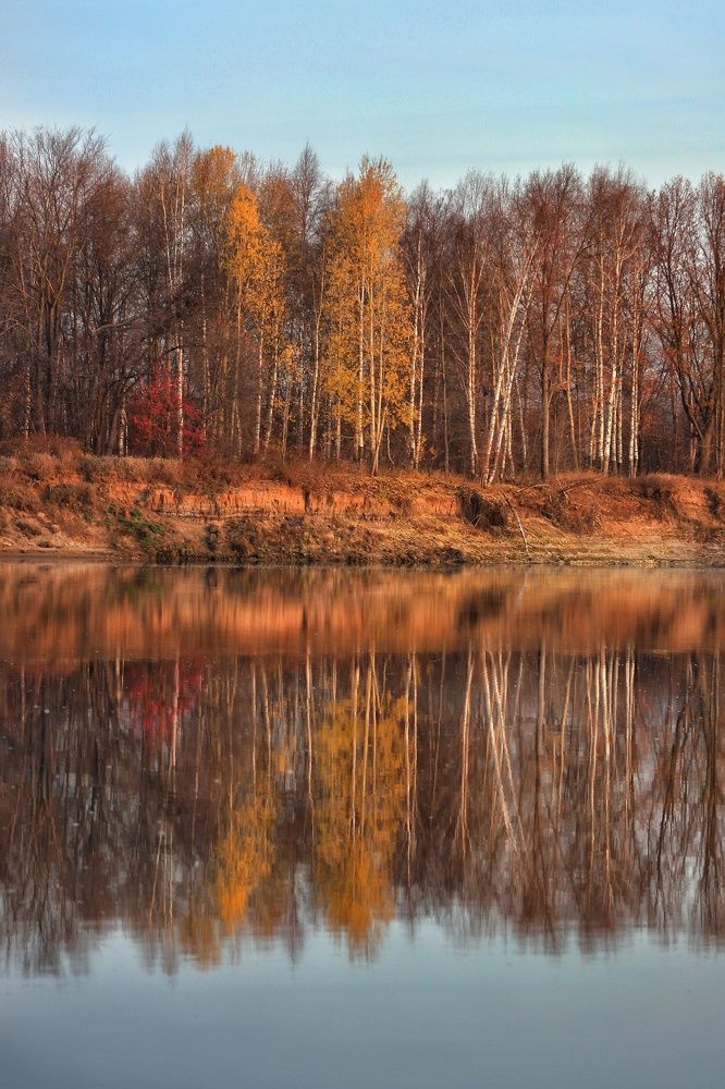 Фотография автора Тамара Караваева