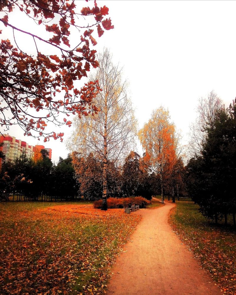 Осенний сквер, г. Санкт-Петербург