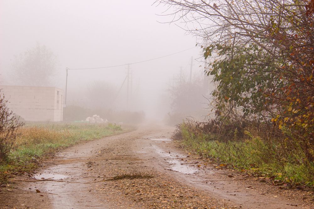 Photograph by Ирина Дмитриенко