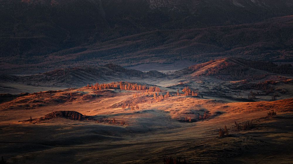 Photograph by Valius Photo