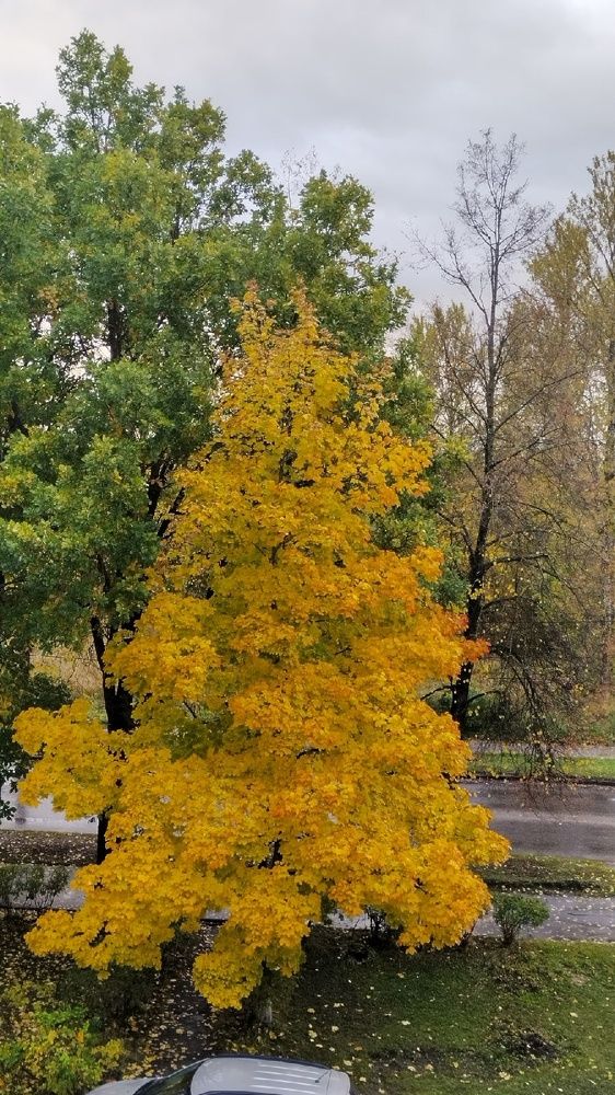 Photograph by Злата Иванченко