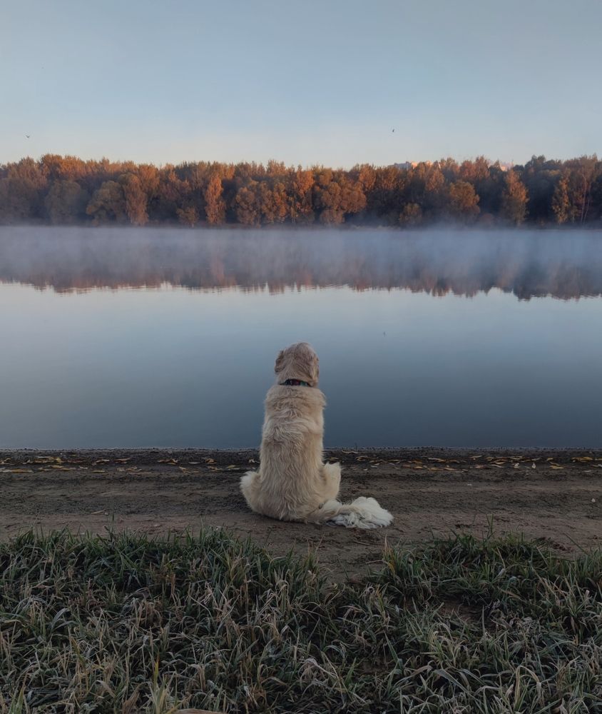 Photograph by Ольга Вороная
