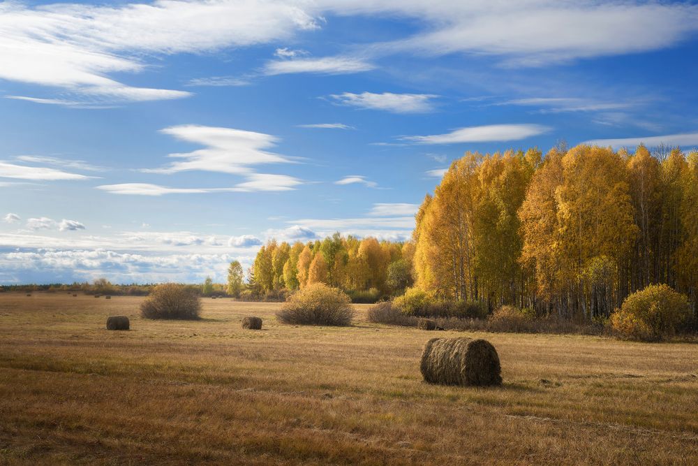 Фотография автора Александр Степочкин