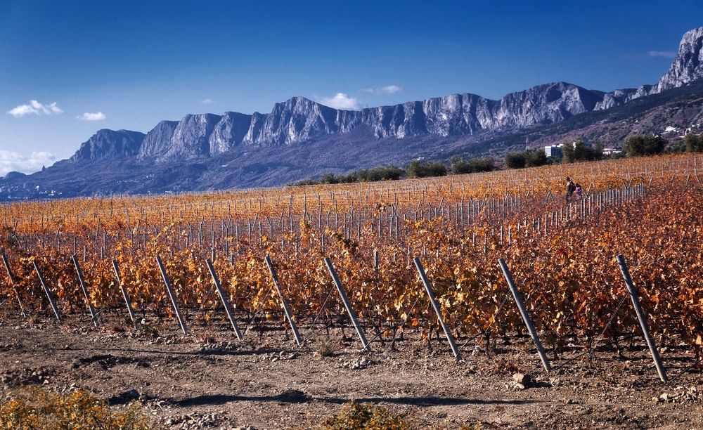 Photograph by Ольга Мальцева