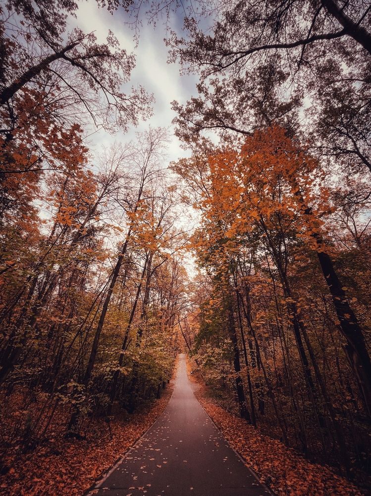 Photograph by Виктория Селютина