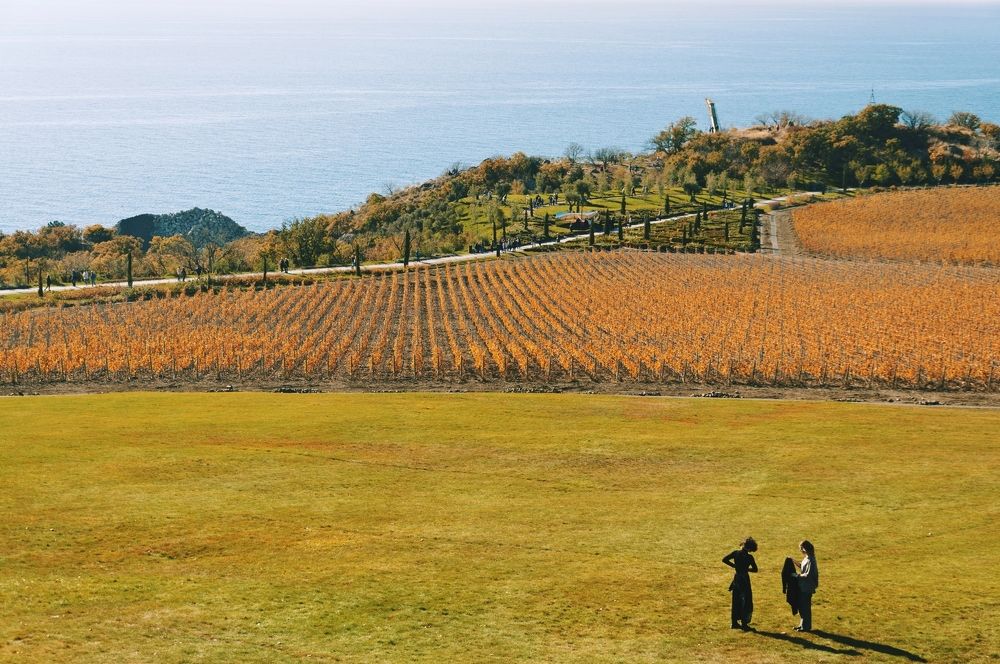 Photograph by Ольга Мальцева