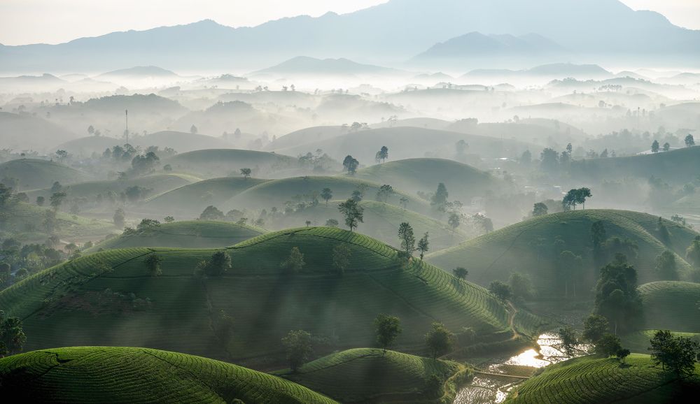 Photograph by Nguyen Ngoc Tuan