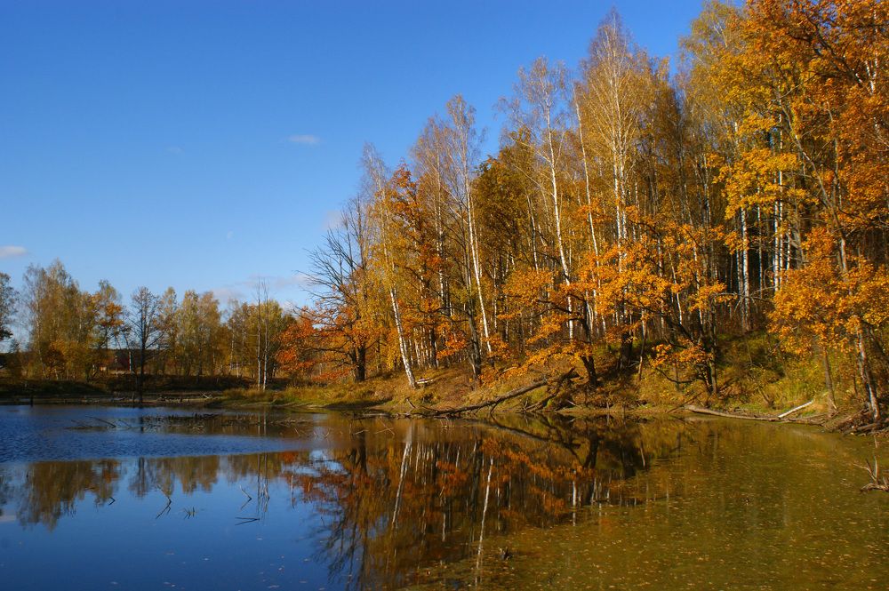 Роняет лес багряный свой убор...