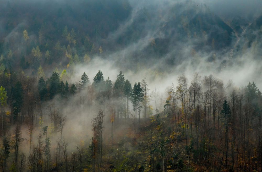 Photograph by Roberto Miniero