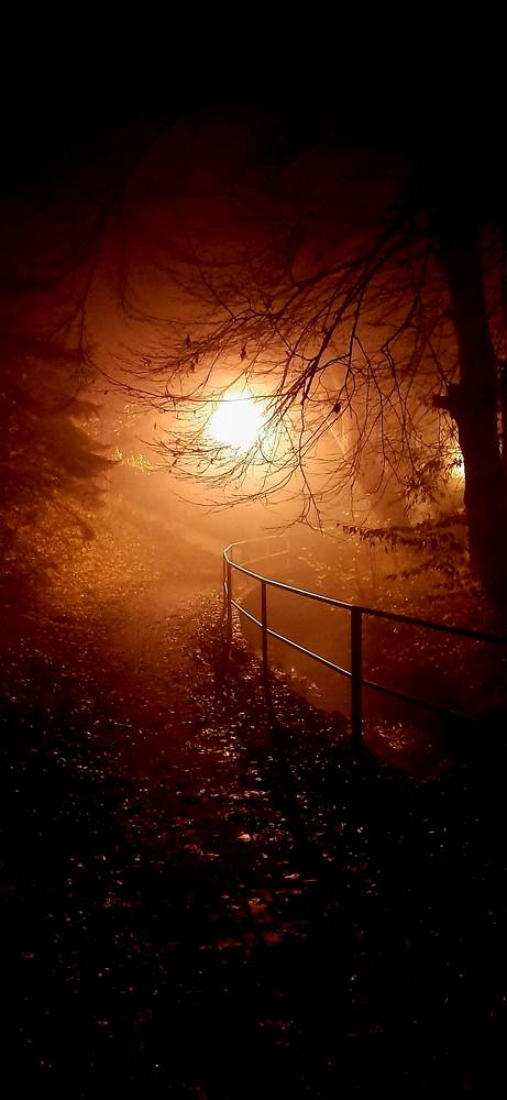 Photograph by Arkadij Frejdlin