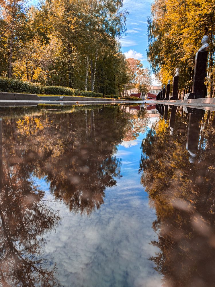 Осень в луже