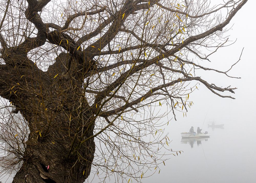 Photograph by Normunds Kaprano