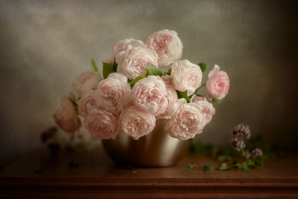 Photograph by Рюмина Ляля