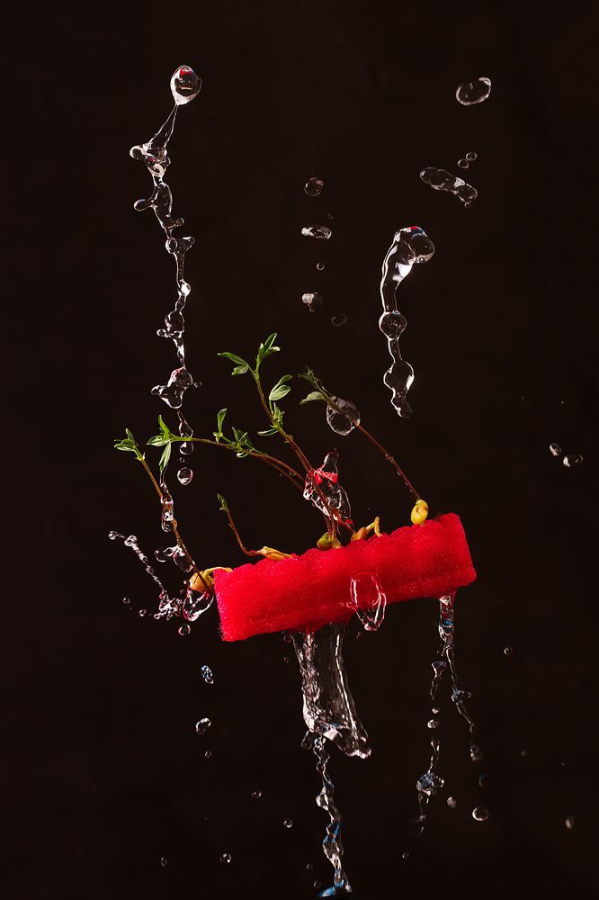 Водные процедуры