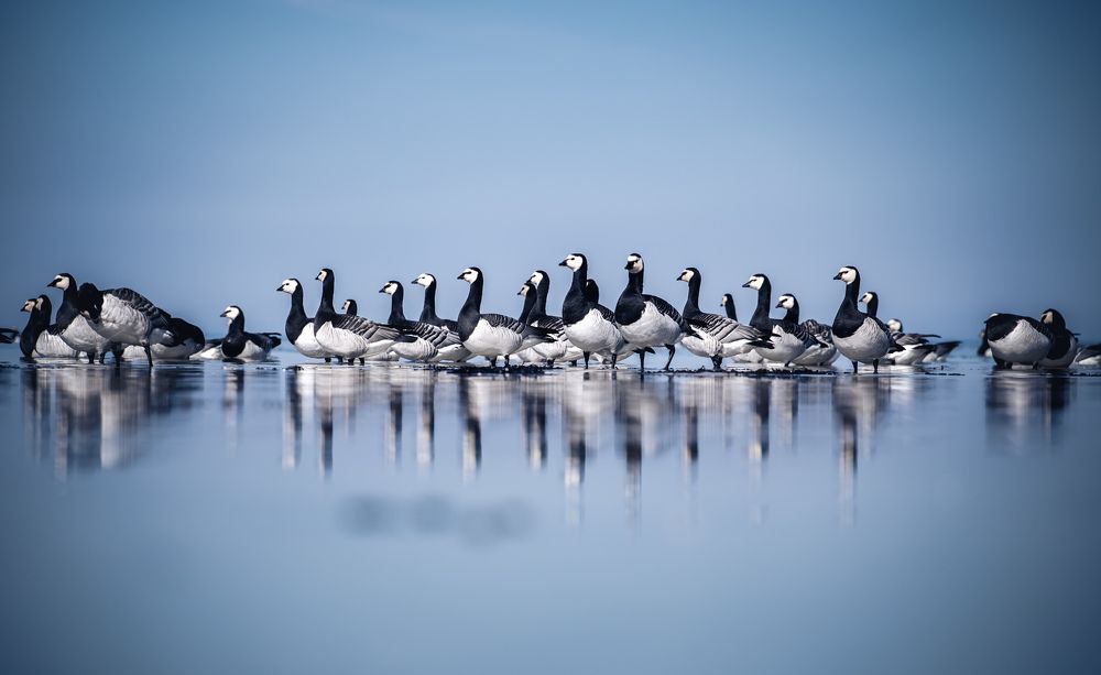 Photograph by Margarita Zakaryan