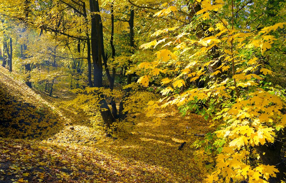 Photograph by Олег Толстунов