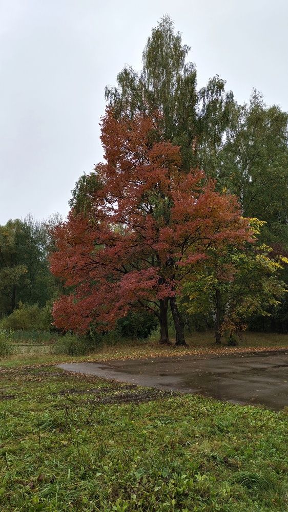 Photograph by Анна Пушкова