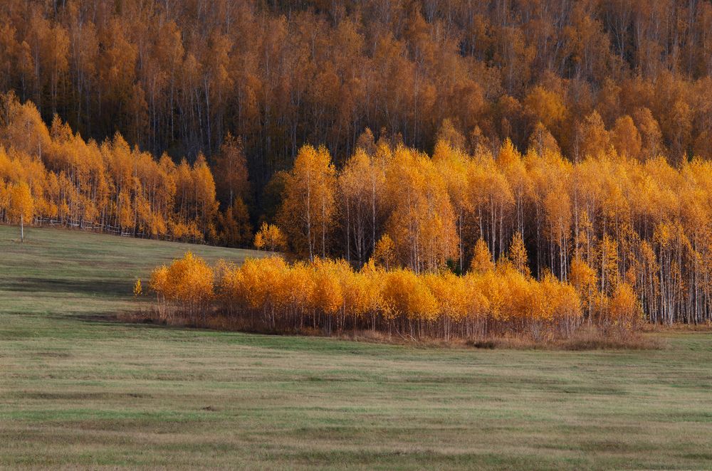 Photograph by Павел СидорOFF