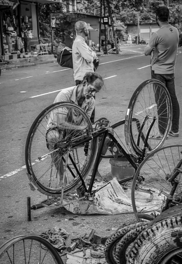 Photograph by Hewage K-vin R