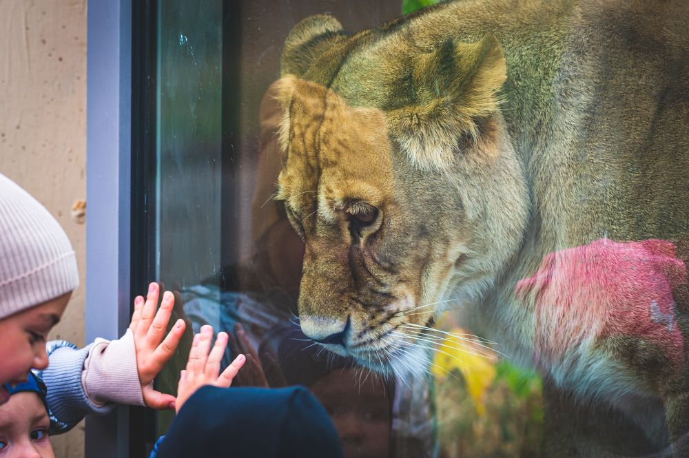 Photograph by Александр Ендин