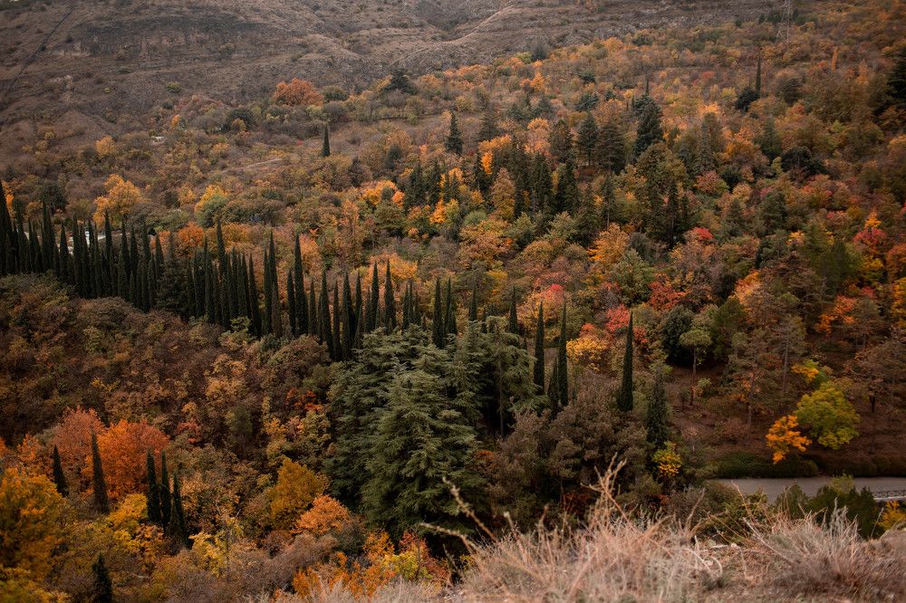 Photograph by Ольга Крестьянинова