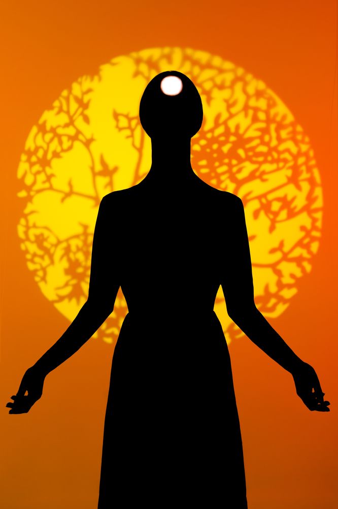 Фотография автора Мария Трасковская