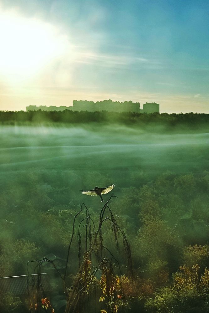 Photograph by Надежда Пидченко