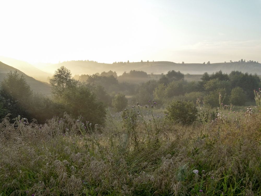 Туманное утро