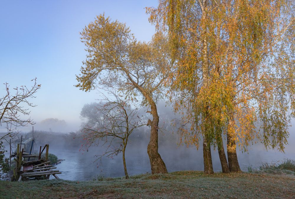 Photograph by Александр Гвоздь