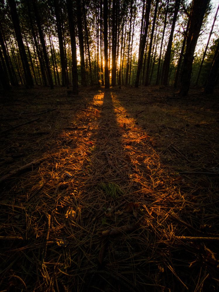 Photograph by Радослав Сотиров