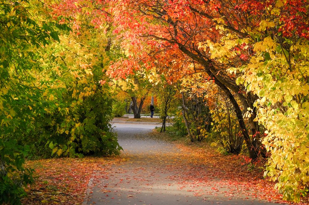 Photograph by Ольга Тюрина