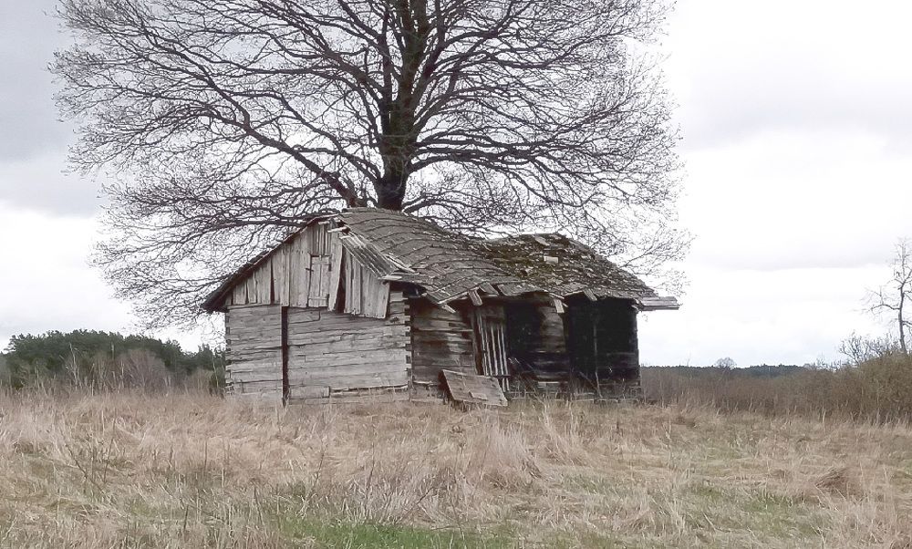 Photograph by Василий Раковец